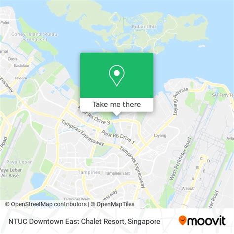 **The Ultimate Guide to NTUC Downtown East Chalet: A Perfect Getaway for Family and Friends**