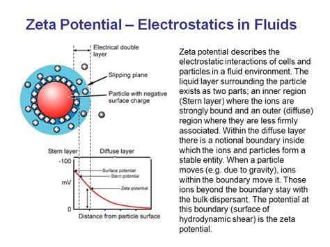 **Tia Burbuja: A Comprehensive Guide to Understanding and Utilizing Zeta Potential**