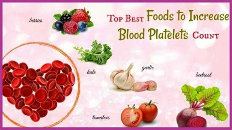 **Treatment for Low Platelets: 10,000+ Ways to Boost Your Blood**