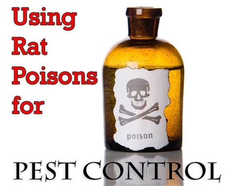 **Types of Rat Poisons and Their Effects:**