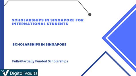 **Types of Singapore Scholarships for International Students**