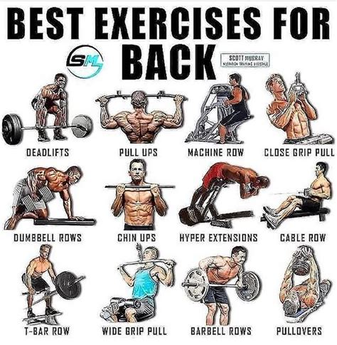 **Ultimate Guide to Lower Back Training in the Gym**