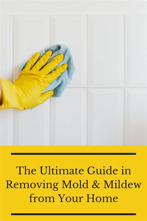 **Ultimate Guide to Mold Cleaner for Wood: Preserving Your Home's Integrity**