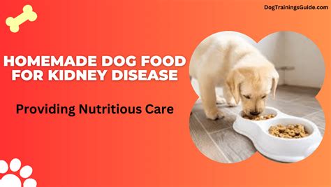 **Understanding and Managing Dog Food for Kidney Disease: A Comprehensive Guide**