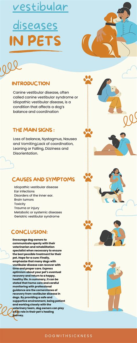 **Vestibular Disease in Dogs: Home Treatment Options for Your Furry Friend**