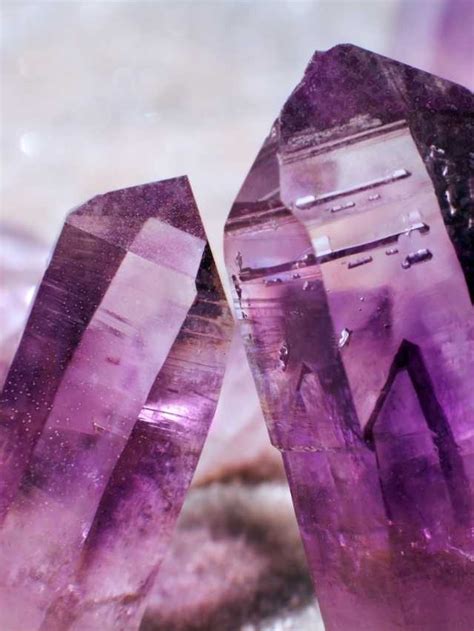 **Violet-hued Gems: Nature's Symphony of Scintillation**