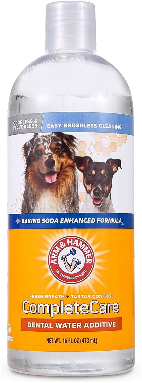 **Water Additives for Dogs: 10,000 Ways to Enhance Your Pooch's Hydration**