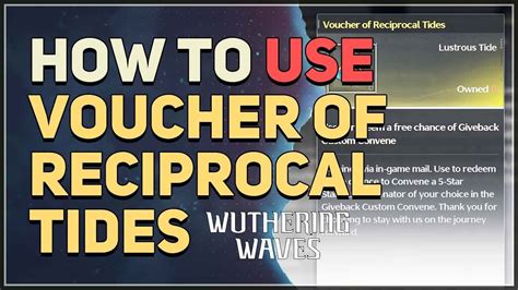 **Wuthering Waves: The Enigmatic Voucher of Reciprocal Tides**