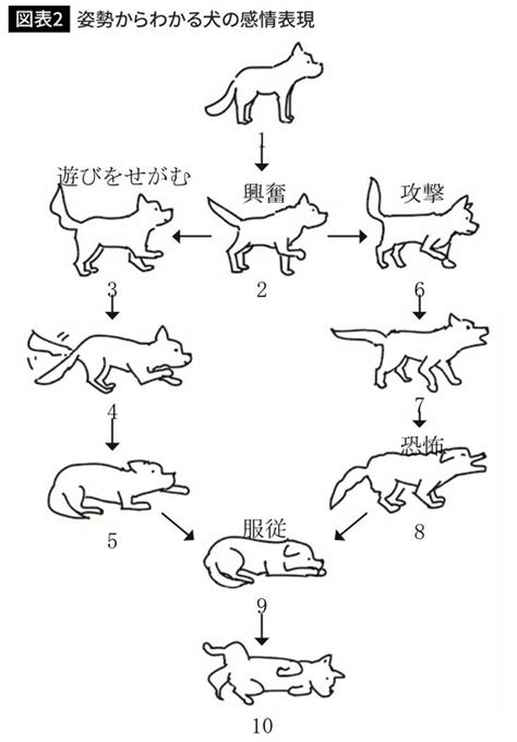 <h1>しっぽの気持ち</h1>