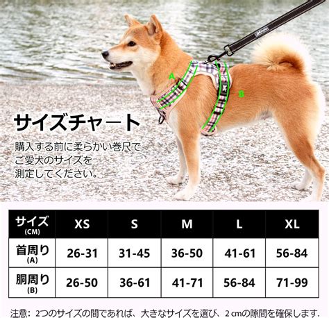 <h1>愛犬のために最適なハーネス選び：大型犬編</h1>