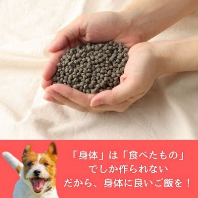 <h1>愛犬の健康のために！ナチュラルドッグフードの選び方と与え方</h1>