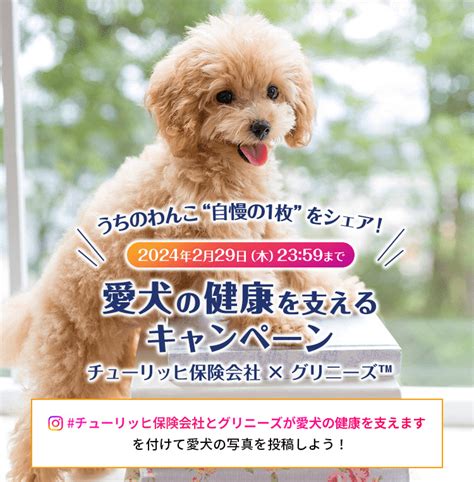 <strong>愛犬の健康を科学で支える：サイエンスダイエット 大型犬</strong>