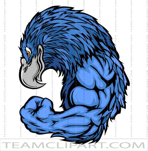 <strong>Blue Hawk</strong>