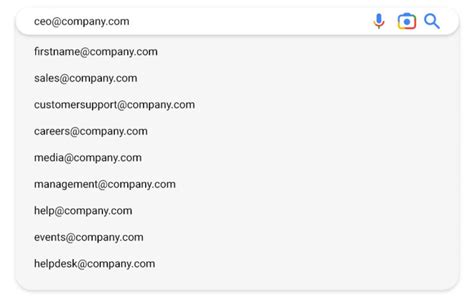 [CEO name]'s Email Address