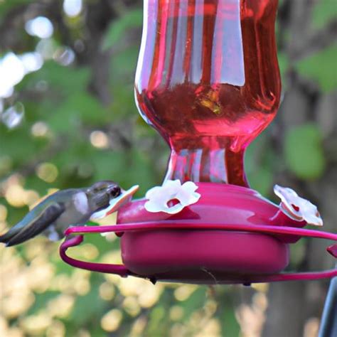 [Don't Overlook this Bracketed Feature]: Enhance Your Hummingbird Feeder Experience