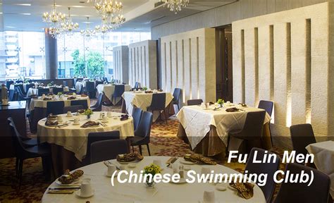 [Fu Lin Men Chinese Swimming Club: A 10-Year Legacy of Excellence in 2025]