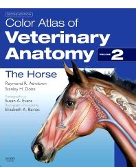 [Full Version] the horse 2nd edition evans pdf Reader