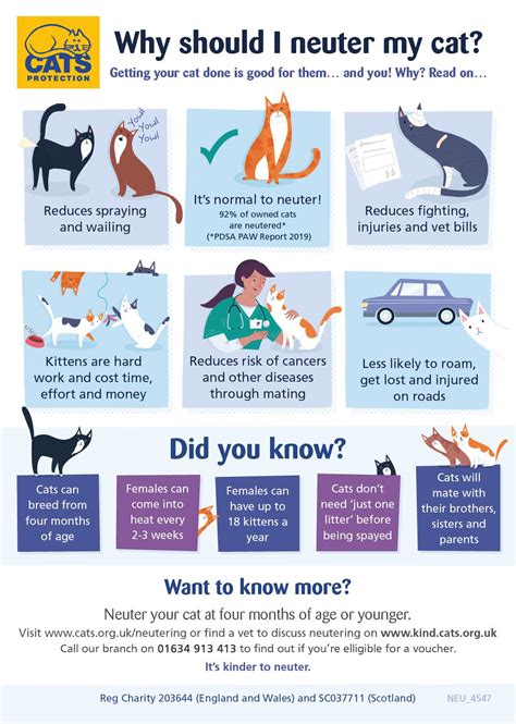 [Table 1: Quick Overview of Neutering in Cats]