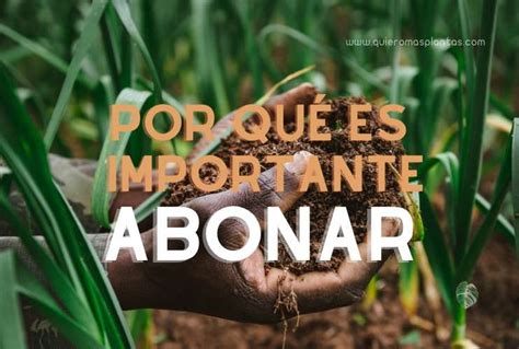 ¡Abonar es importante!