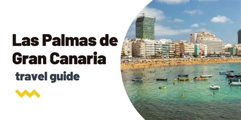 ¡Descubre el Encanto de las Palmas de Latón: Una Guía Integral