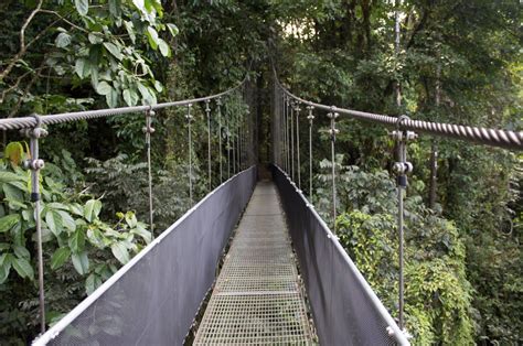 ¡Descubriendo la Pura Vida en Costa Rica!