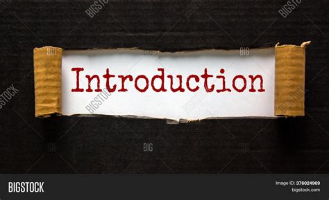 § Introduction