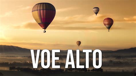 Águia Bet: Aposte com Precisão e Voe Alto!