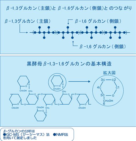 β-グルカン