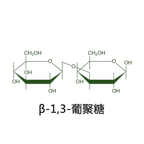 β-1,3/1,6-葡聚糖：免疫系統的超級補品