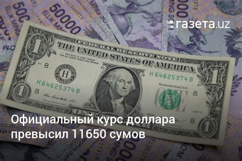 Доллар к суму: как перевести быстро и выгодно