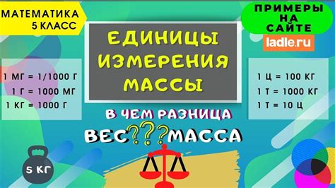 Паунды в кг: Легкое Преобразование Вес