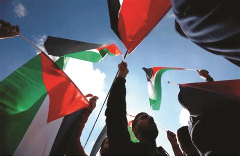 التضامن الدولي مع فلسطين: لماذا يهم