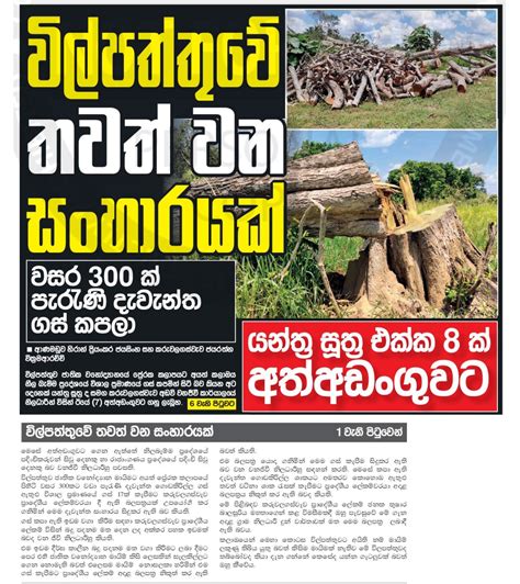 ලංකාදීප පුවත්පත අනුව ප්‍රයෝජනවත් අන්තර්ගතය