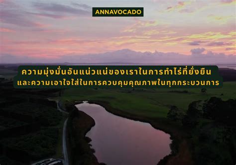 ความมุ่งมั่นอันแน่วแน่ของ Nassim Dehouche: แรงบันดาลใจสำหรับผู้ที่แสวงหาความสำเร็จ