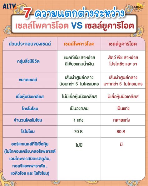 ความแตกต่างระหว่างประเทศไทยและฟิลิปปินส์: การวิเคราะห์เชิงลึก