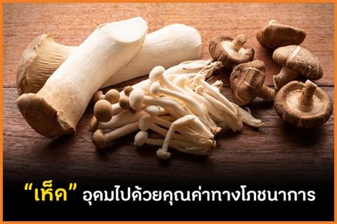 คิคุระเกะ ราชาเห็ดที่อุดมด้วยคุณค่าทางโภชนาการ