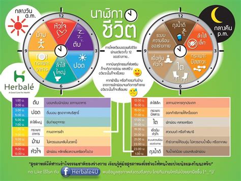 ตารางสรุปประโยชน์ของการจัดระเบียบชีวิต