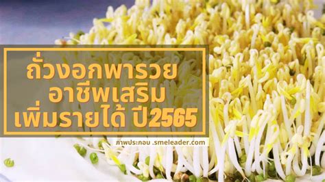 ลงทุนให้ฉลาด รวยไว ในปี 2565