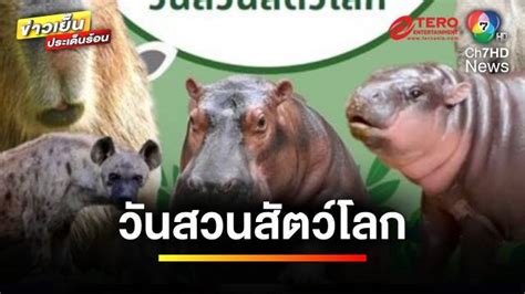 หมูเด้งแห่งสวนสัตว์เปิดเขาเขียว: สารานุกรมที่ครอบคลุมสำหรับผู้ที่รักสัตว์