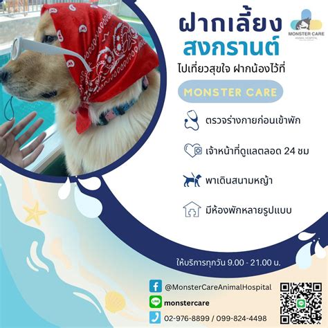 เกี่ยวกับโรงพยาบาลสัตว์มอนสเตอร์แคร์