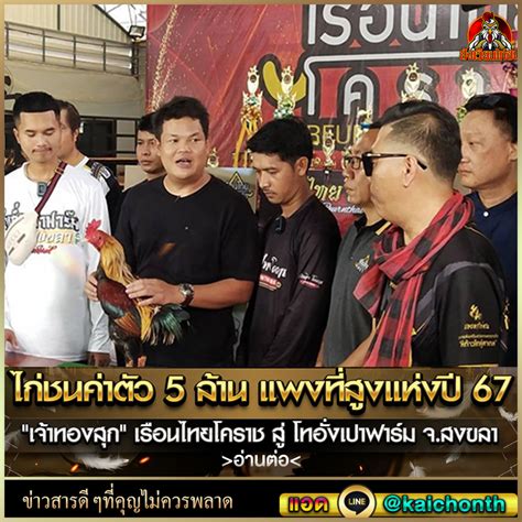 ไก่ชน เดิมพัน 200 ล้าน: ตำนานแห่งสังเวียนไก่ชนที่ยิ่งใหญ่ที่สุดในประวัติศาสตร์