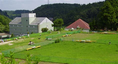 「すいらんグリーンパーク」で緑に囲まれた癒しの時間を過ごそう！