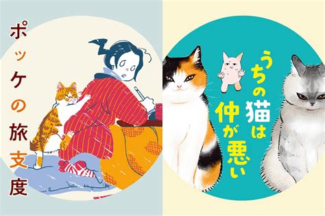 「ポッケ 猫」とは？