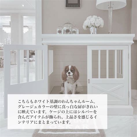 「ワンちゃんを呼ぶ」 + 「sit」