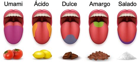 「Gusta」的獨特用法