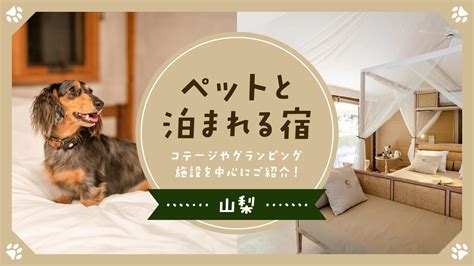 【愛犬家必見！】六甲山でペットと泊まれるおすすめ宿10選