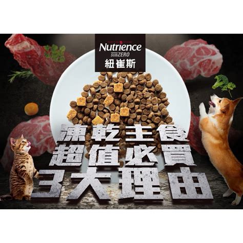 【Nutrience 貓糧評價】專家分析：原料、營養、價格一次看清！