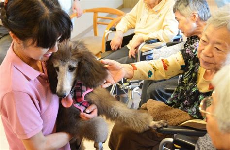 あいあい動物病院で愛するペットを安心・安全にケアする