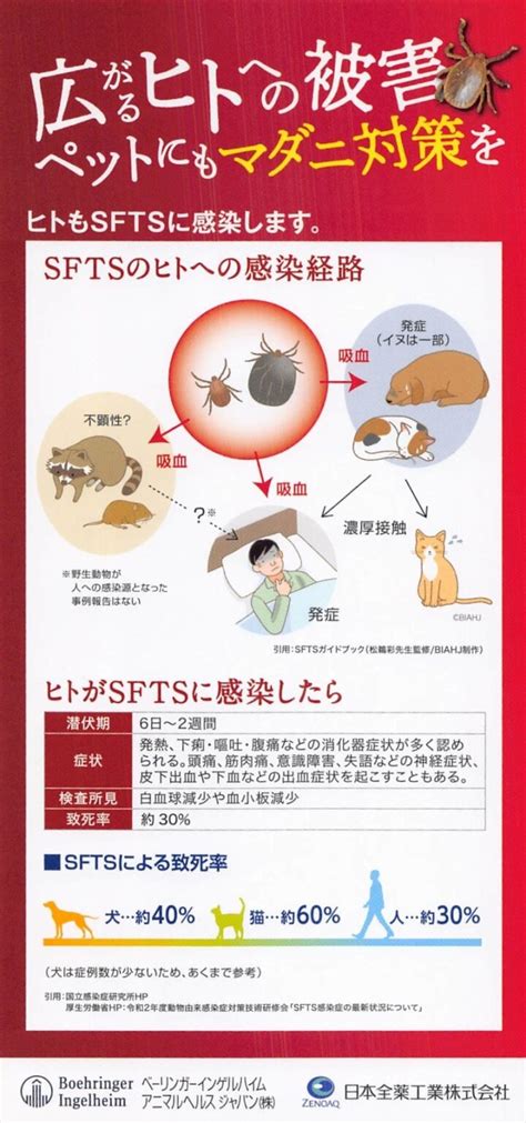 あいづま動物病院でペットの健康を最優先にする：包括ガイド