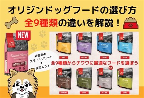 あなたの愛犬に最適なドッグフードを探求する